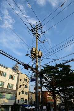 電線桿