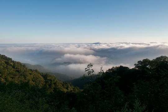 魯山云海