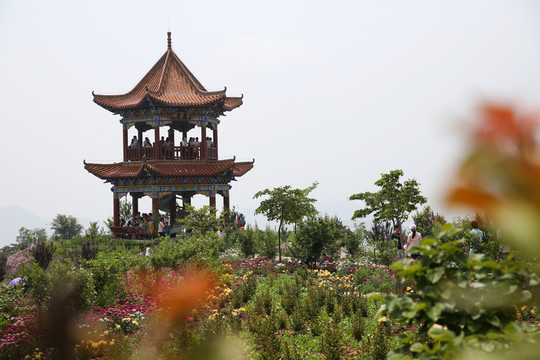 園林花卉
