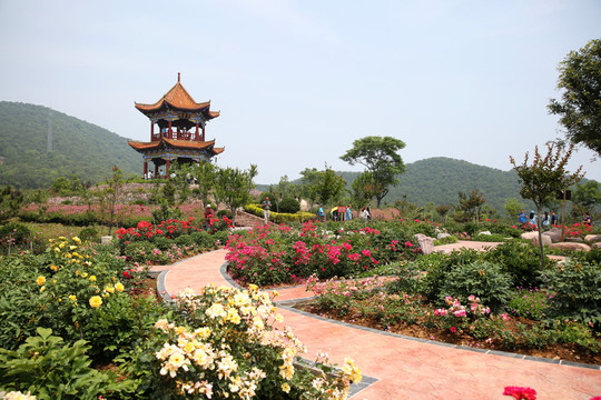 園林花卉