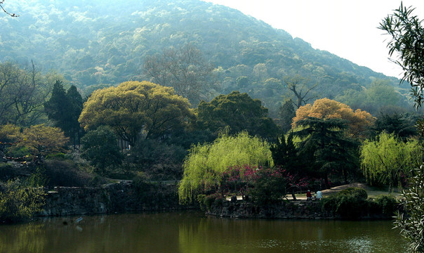 青山綠水