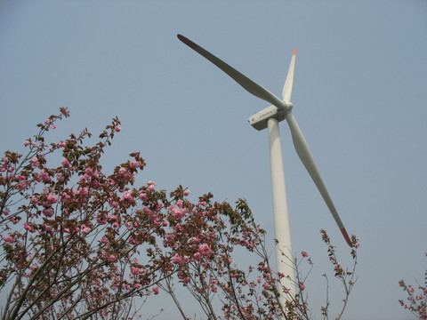 風(fēng)力發(fā)電機(jī)