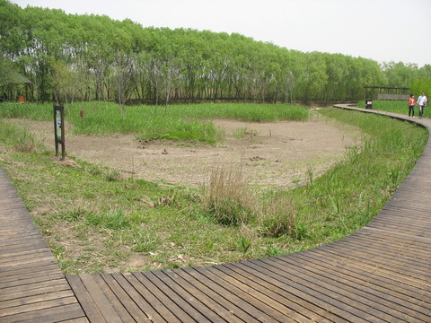 木棧道