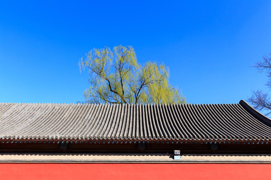 北京故宮紅墻宮墻琉璃瓦屋頂