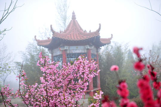 園林建筑  園林景觀