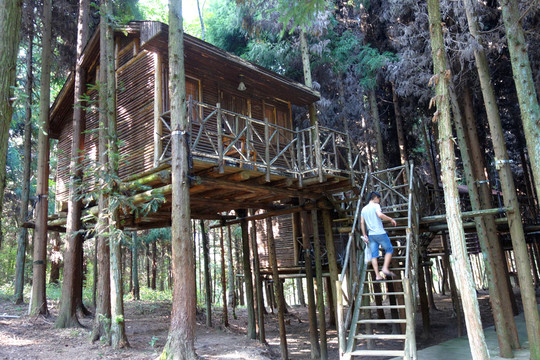 小木屋 小木樓