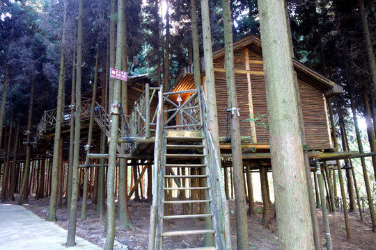 木樓 木屋