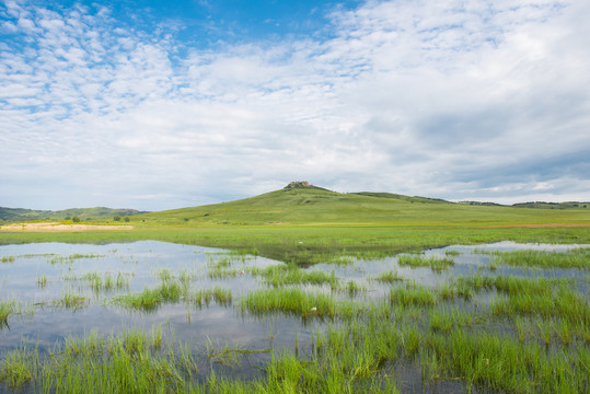 野鴨湖