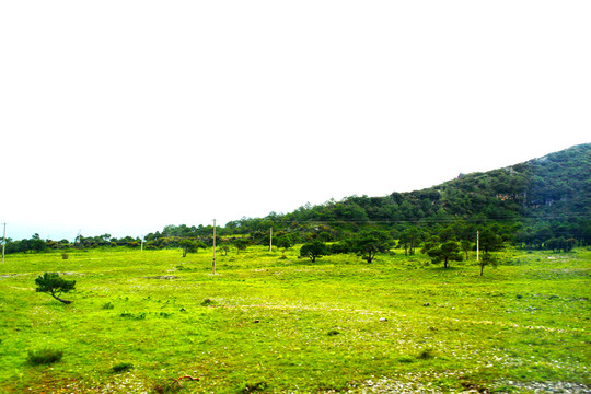 高原山地
