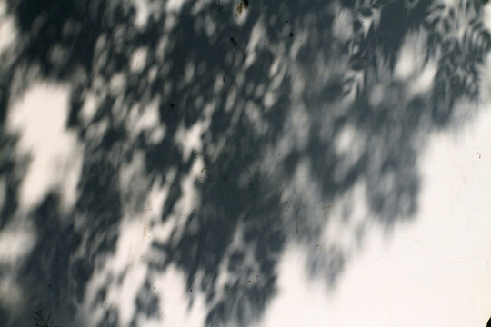 光影
