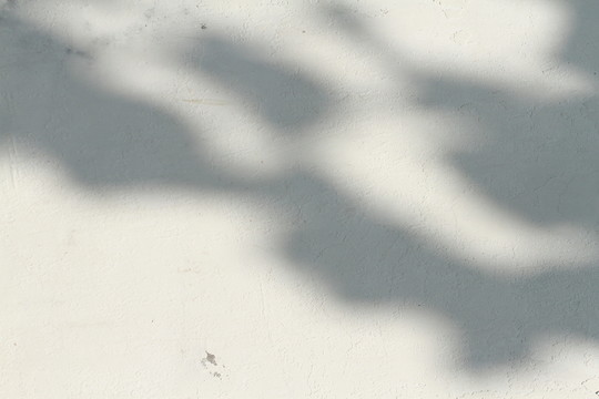 光影