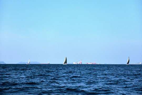 大海