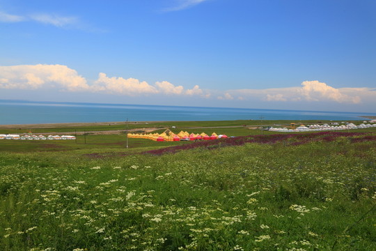 青海湖