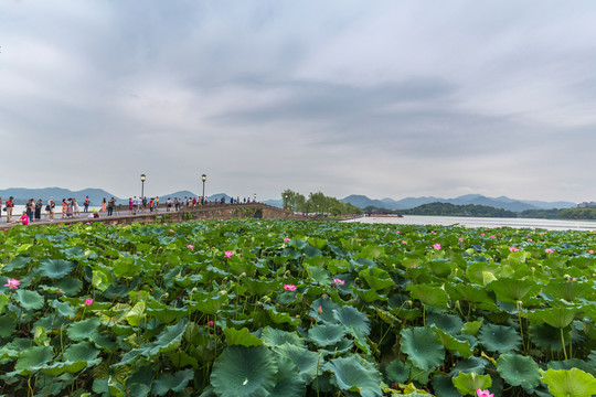 杭州西湖風(fēng)光