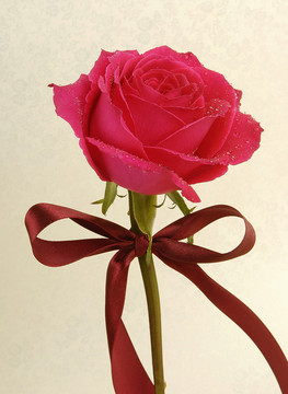 玫瑰花