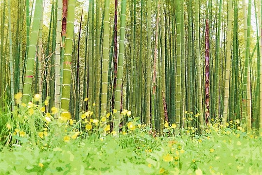 抽象畫