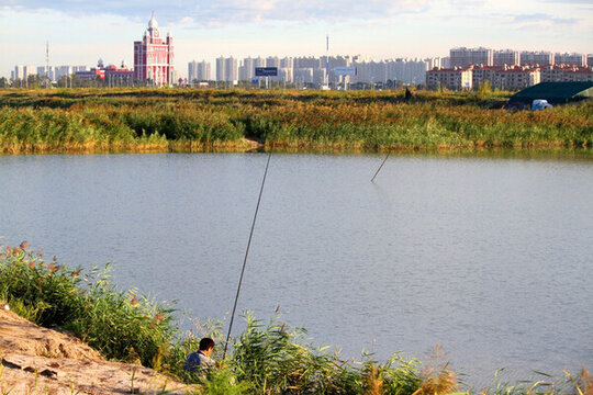 大慶 濕地 藍天