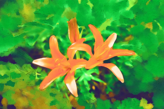 電腦畫 百合花