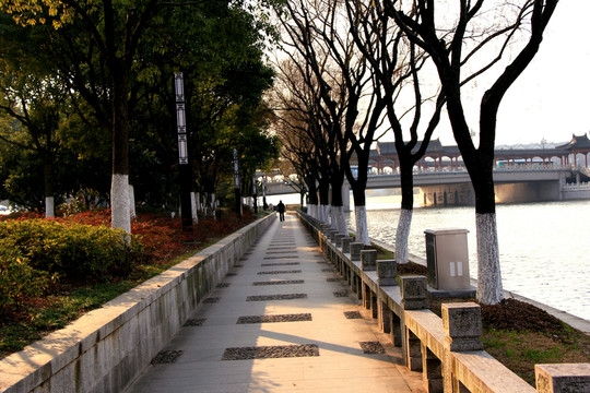公園小路