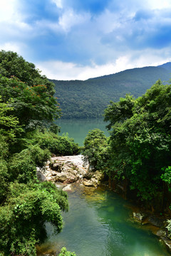 溪頭村風(fēng)景