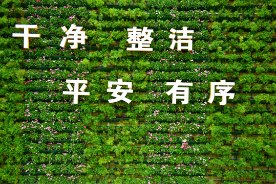 綠色干凈背景