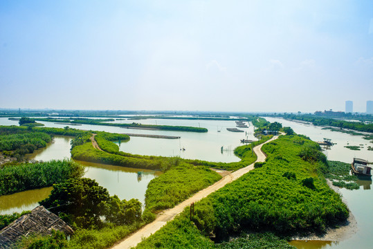 河堤小路