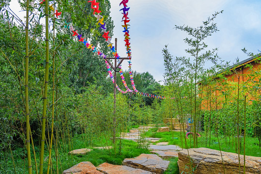 園林景觀 石板路