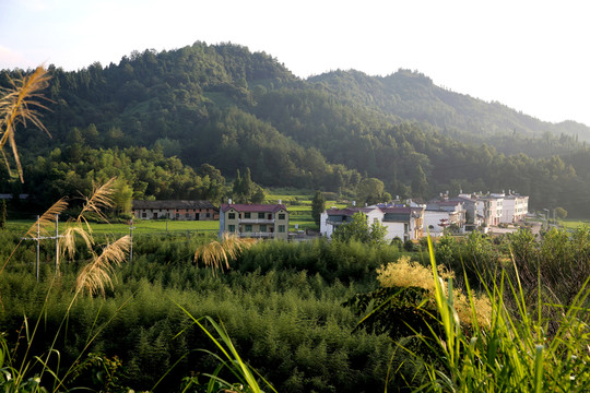 美麗的小山村