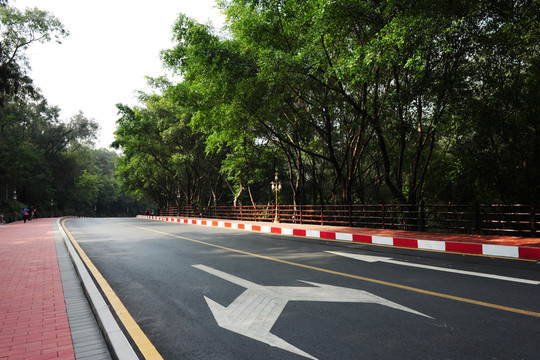 公園馬路