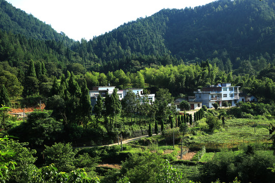 綠色小村 遙遠(yuǎn)的小山村 山水