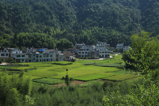 遙遠(yuǎn)的小山村