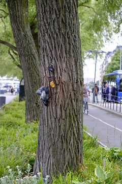 歐洲街景