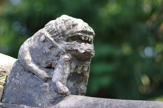 屋脊獸