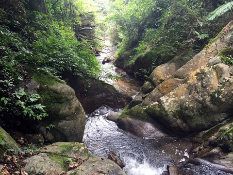 山澗溪流