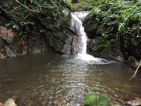 山澗溪流