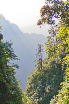 峨眉風(fēng)景