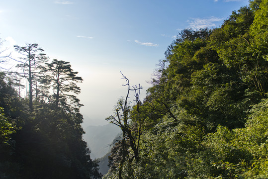 峨眉風(fēng)景
