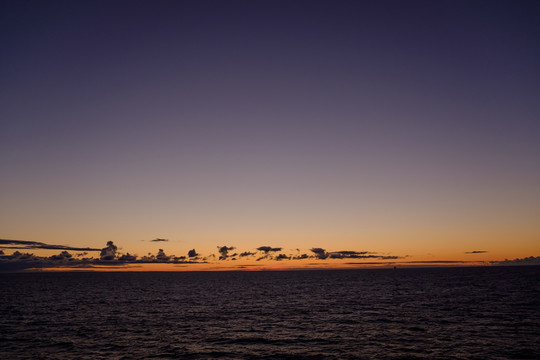大海