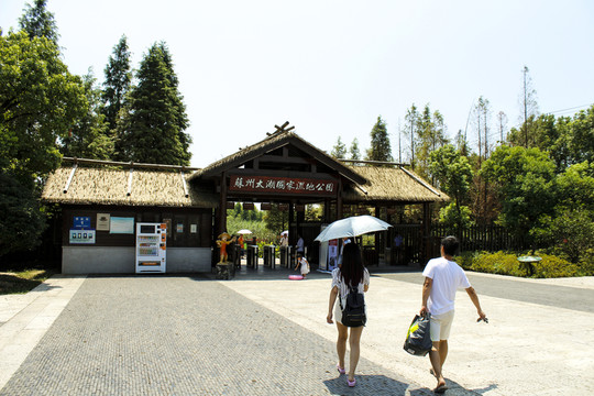 蘇州 太湖 蘇州旅游 濕地生態(tài)