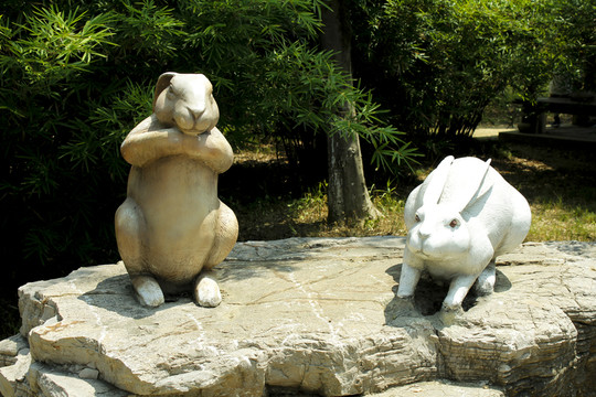 蘇州 國(guó)家濕地公園 濕地公園