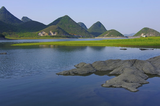 濕地 風(fēng)景