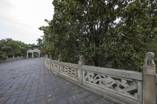 岳陽旅游風景