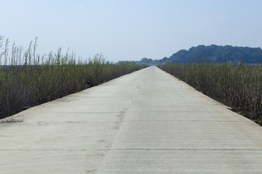 君山島