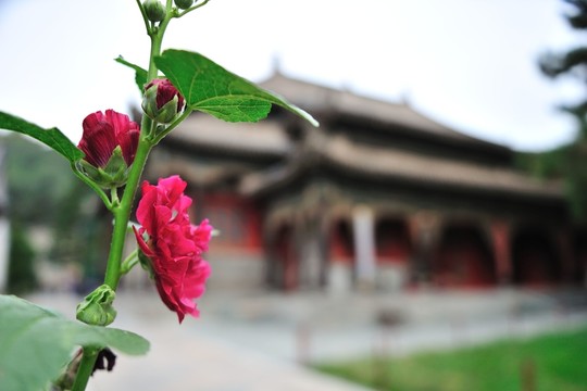 五臺(tái)山