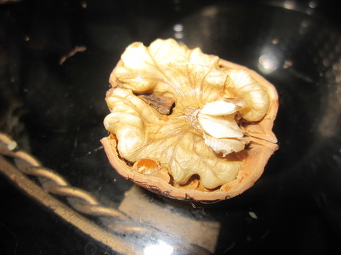 核桃