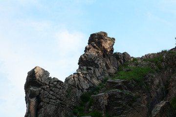 雄獅
