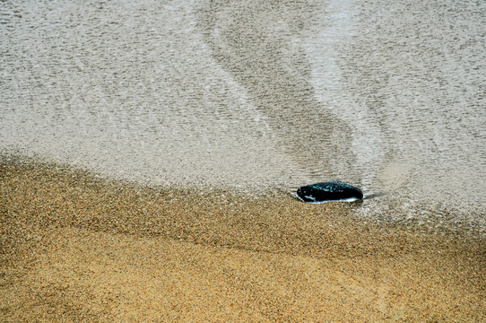 浪痕