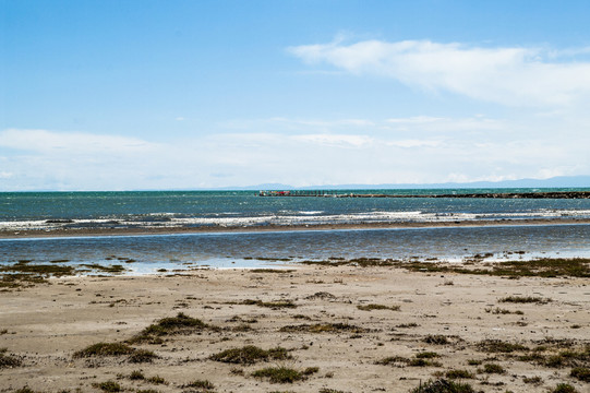 青海湖
