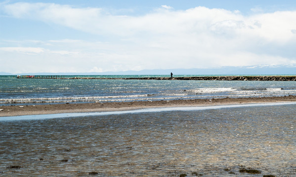 青海湖