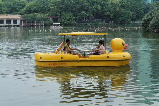 小黃鴨